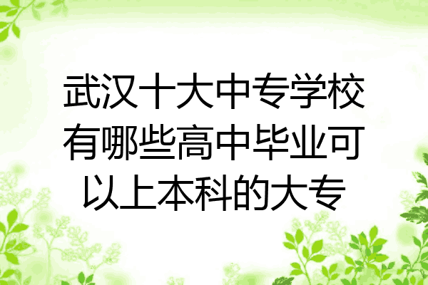 武汉十大中专学校有哪些高中毕业可以上本科的大专
