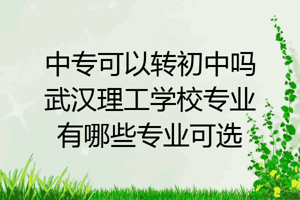 中专可以转初中吗武汉理工学校专业有哪些专业可选