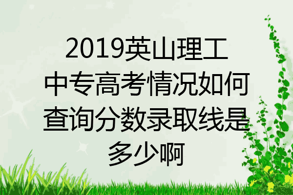 2019英山理工中专高考情况如何查询分数录取线是多少啊