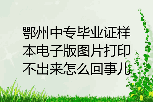 鄂州中专毕业证样本电子版图片打印不出来怎么回事儿