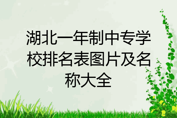 湖北一年制中专学校排名表图片及名称大全