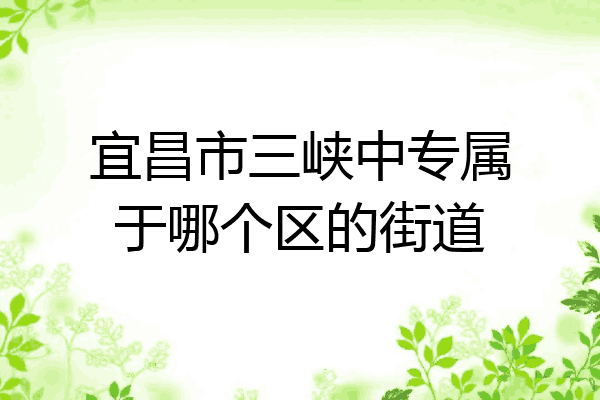 宜昌市三峡中专属于哪个区的街道