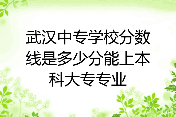 武汉中专学校分数线是多少分能上本科大专专业