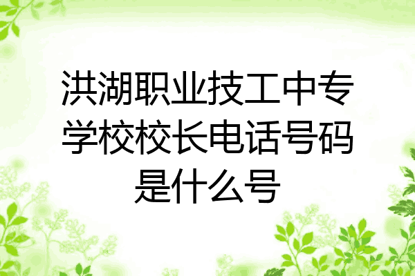 洪湖职业技工中专学校校长电话号码是什么号