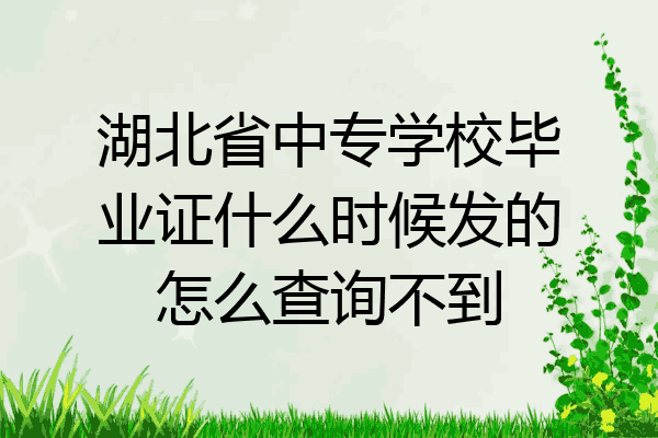 湖北省中专学校毕业证什么时候发的怎么查询不到
