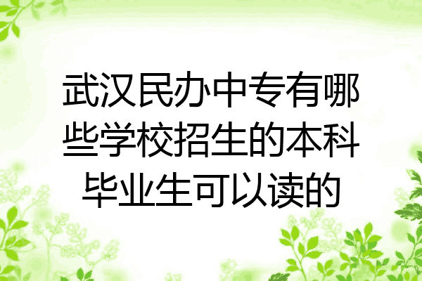 武汉民办中专有哪些学校招生的本科毕业生可以读的