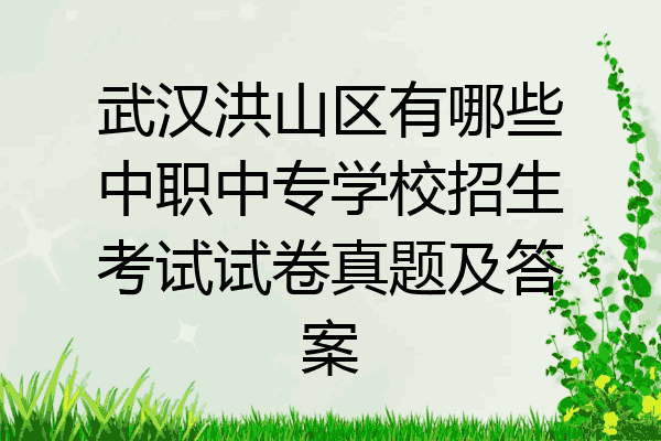 武汉洪山区有哪些中职中专学校招生考试试卷真题及答案