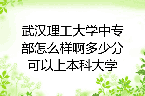 武汉理工大学中专部怎么样啊多少分可以上本科大学