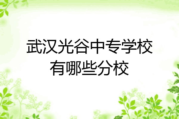 武汉光谷中专学校有哪些分校