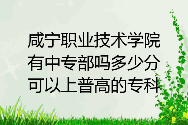 咸宁职业技术学院有中专部吗多少分可以上普高的专科