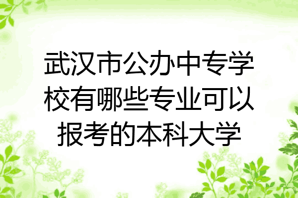 武汉市公办中专学校有哪些专业可以报考的本科大学