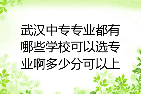 武汉中专专业都有哪些学校可以选专业啊多少分可以上