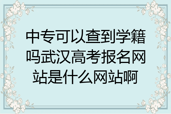 中专可以查到学籍吗武汉高考报名网站是什么网站啊