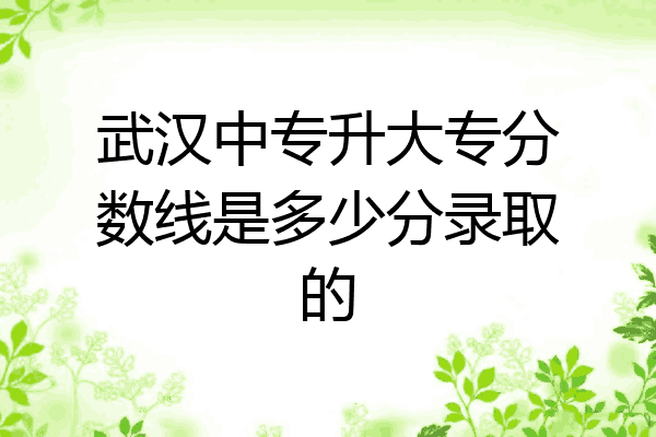武汉中专升大专分数线是多少分录取的