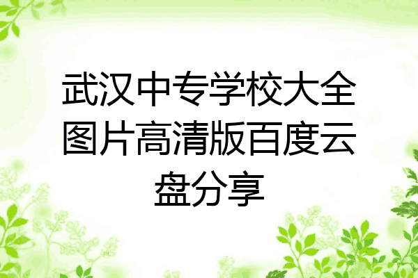 武汉中专学校大全图片高清版百度云盘分享