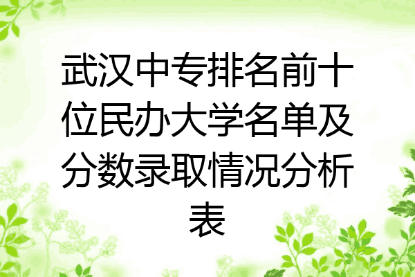 武汉中专排名前十位民办大学名单及分数录取情况分析表