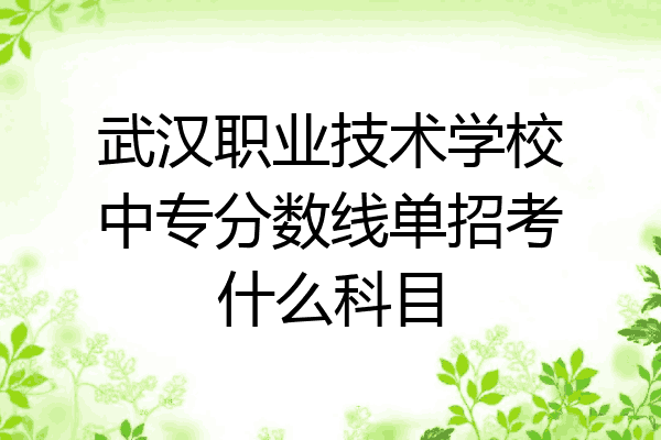 武汉职业技术学校中专分数线单招考什么科目