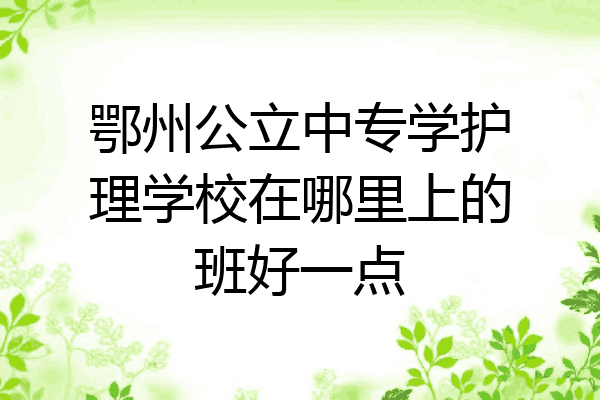 鄂州公立中专学护理学校在哪里上的班好一点