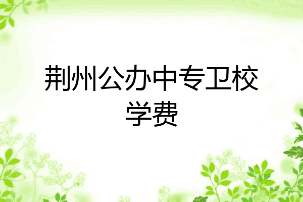 荆州公办中专卫校学费