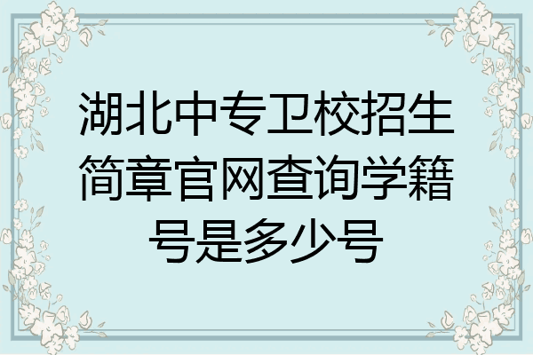 湖北中专卫校招生简章官网查询学籍号是多少号