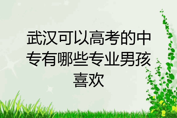武汉可以高考的中专有哪些专业男孩喜欢