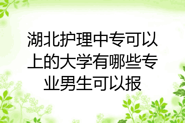 湖北护理中专可以上的大学有哪些专业男生可以报