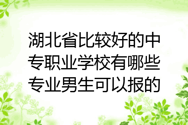 湖北省比较好的中专职业学校有哪些专业男生可以报的