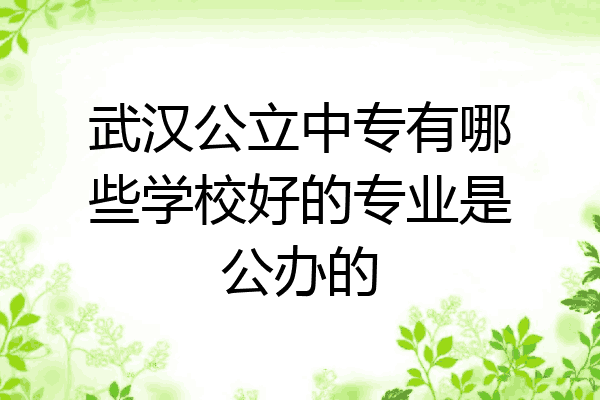 武汉公立中专有哪些学校好的专业是公办的
