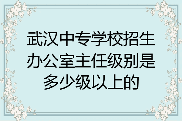 武汉中专学校招生办公室主任级别是多少级以上的