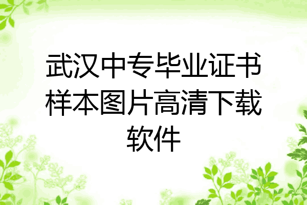 武汉中专毕业证书样本图片高清下载软件