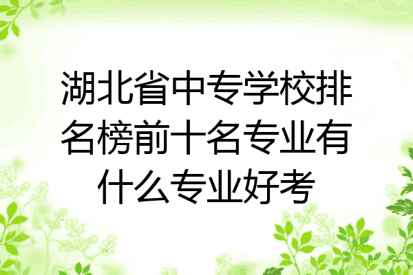 湖北省中专学校排名榜前十名专业有什么专业好考