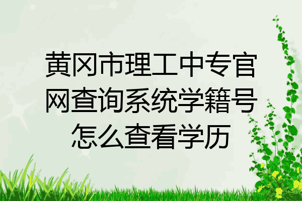 黄冈市理工中专官网查询系统学籍号怎么查看学历