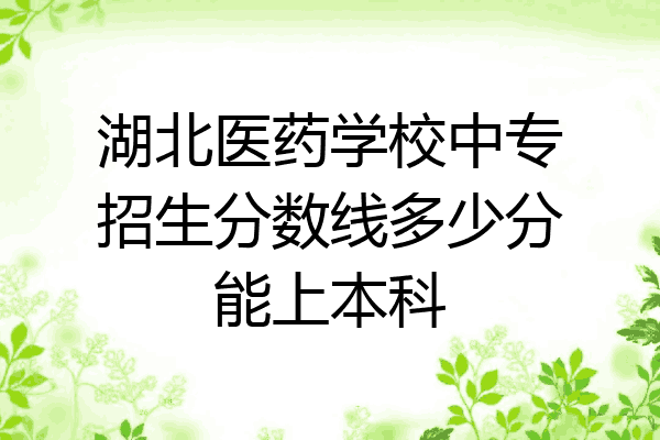 湖北医药学校中专招生分数线多少分能上本科