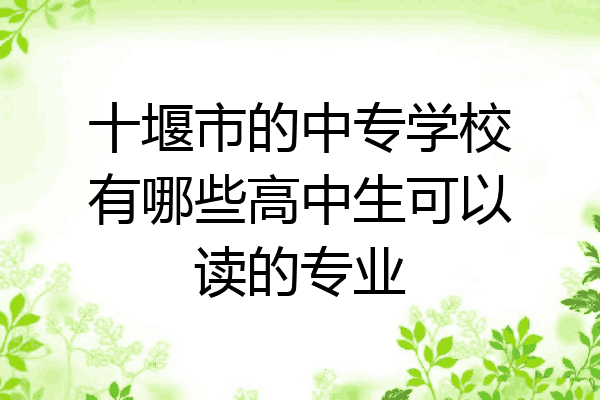 十堰市的中专学校有哪些高中生可以读的专业