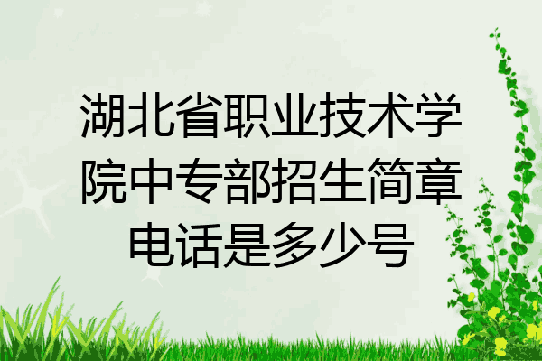 湖北省职业技术学院中专部招生简章电话是多少号