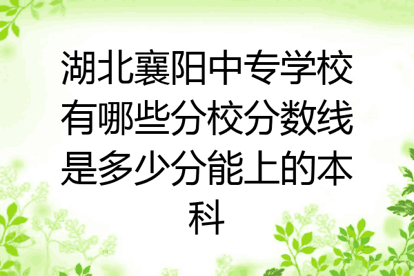 湖北襄阳中专学校有哪些分校分数线是多少分能上的本科