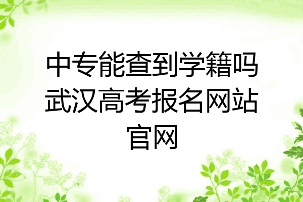 中专能查到学籍吗武汉高考报名网站官网