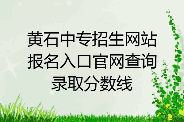 黄石中专招生网站报名入口官网查询录取分数线