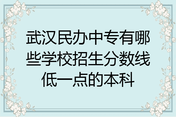 武汉民办中专有哪些学校招生分数线低一点的本科