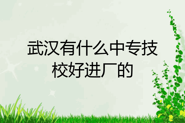 武汉有什么中专技校好进厂的