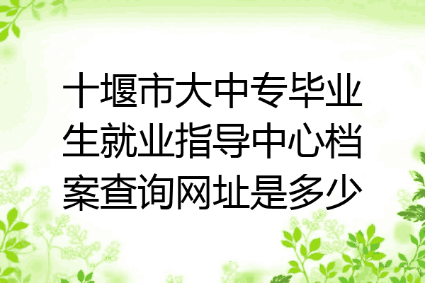 十堰市大中专毕业生就业指导中心档案查询网址是多少