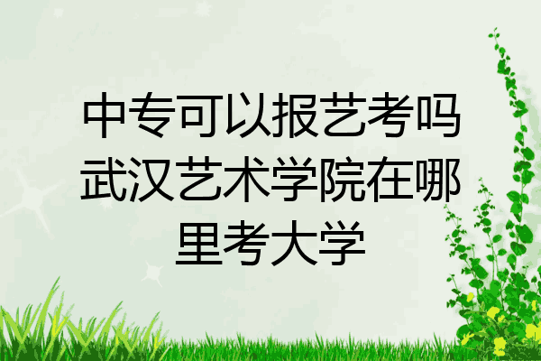 中专可以报艺考吗武汉艺术学院在哪里考大学
