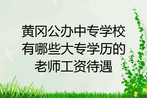 黄冈公办中专学校有哪些大专学历的老师工资待遇