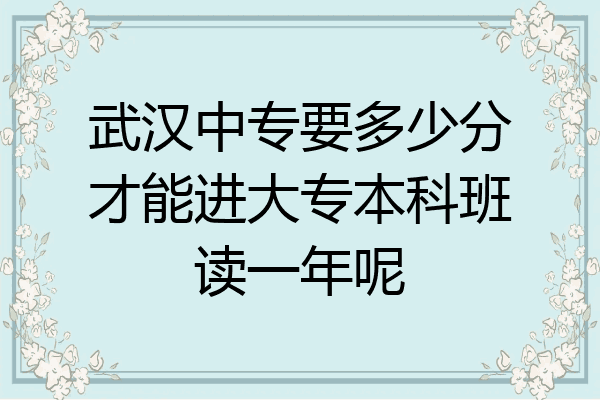 武汉中专要多少分才能进大专本科班读一年呢