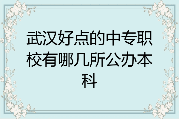 武汉好点的中专职校有哪几所公办本科