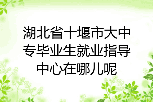 湖北省十堰市大中专毕业生就业指导中心在哪儿呢