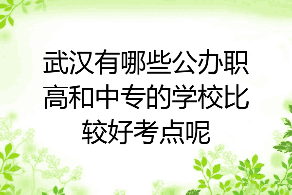武汉有哪些公办职高和中专的学校比较好考点呢
