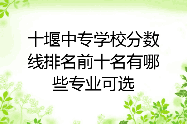 十堰中专学校分数线排名前十名有哪些专业可选