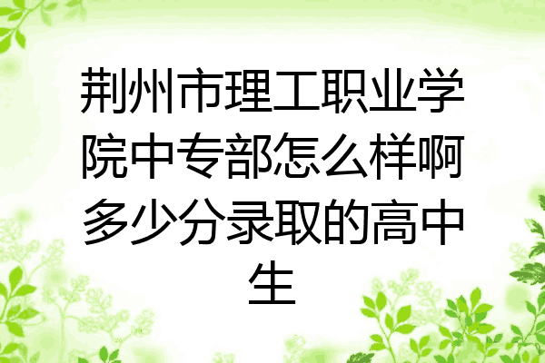荆州市理工职业学院中专部怎么样啊多少分录取的高中生