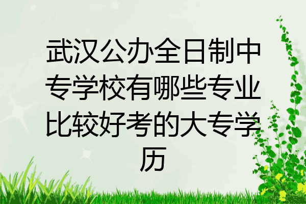 武汉公办全日制中专学校有哪些专业比较好考的大专学历
